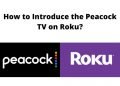 How to Introduce the Peacock TV on Roku?